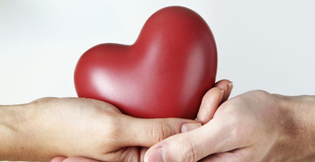 Cardiovascular Health and Massage Therapy